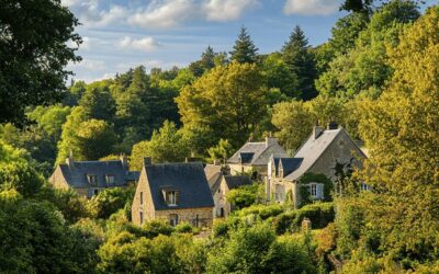 Découvrez les initiatives d’Aux arbres etc BZH pour la protection des arbres bordant les chemins de randonnée