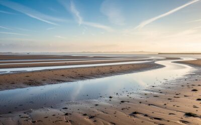 Randonnée pédestre en Baie de Somme : de Saint-Valery au Crotoy sur les traces des lieux historiques