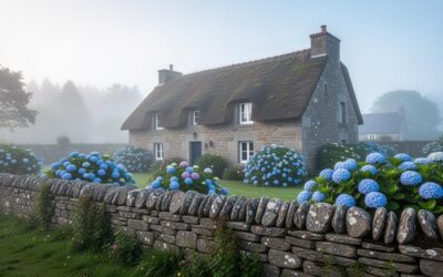 Séjourner en Bretagne : 5 activités incontournables autour de votre hébergement de charme